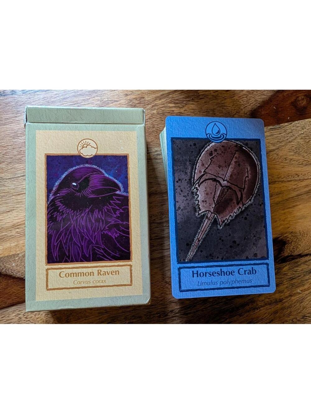 North American Animal Wisdom Oracle 76 Cards Deck OOP Kickstarter 1ST Ed